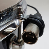 Kelly Shu XLR Cables